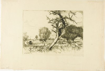 枯れたリンゴの木 作： Louis Auguste Lepère
