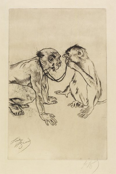 比較解剖学 作： Louis Auguste Mathieu Legrand