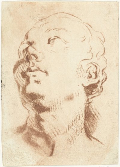 頭を上げて視線を上に向けた学習シート 作： Louis Bernard Coclers