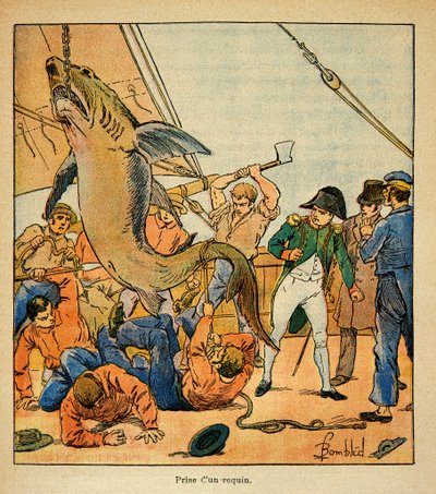 エマニュエル・ド・ラス・ケース伯爵（1766-1842）の著書『聖ヘレネの記念』からボンブル・ルイ（1862-1927）が描いたイラスト。ノーサンバーランド号でサメの捕獲に立ち会う皇帝ナポレオン、個人蔵 作： Louis Charles Bombled