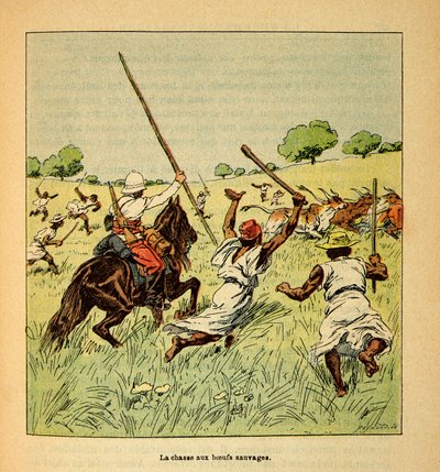 Henri Galli dit Galllichet (1854-1922)著、Louis Bombled (1862-1927)絵による「マダガスカルの戦争-1885-1895年のフランス遠征の逸話史」。1895年のマダガスカルでの野牛の狩猟、個人蔵 作： Louis Charles Bombled