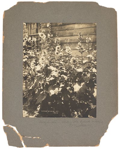 ティファニー スタジオ、1898～1920年頃（写真白黒） 作： Louis Comfort Tiffany
