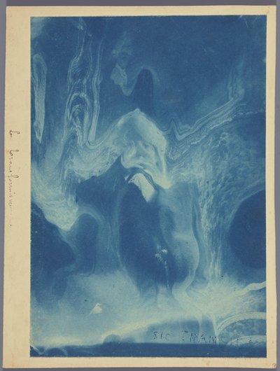 Le transformisme / Sic transition (オブジェクトのタイトル) 作： Louis Ducos du Hauron (attributed to)