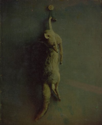 フォックス、カリフォルニア州。 1870年。 作： Louis Ducos du Hauron