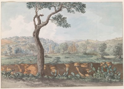 Ruïne van Castor en Pollux tempel binnen muren van oude アグリジェント 古代アグリジェントの囲い地にあるカストルとポルックスの神殿の遺跡の眺め (オブジェクトのタイトル) イタリア、シチリア、マルタの旅 - 1778 (シリーズタイトル) 作： Louis Ducros