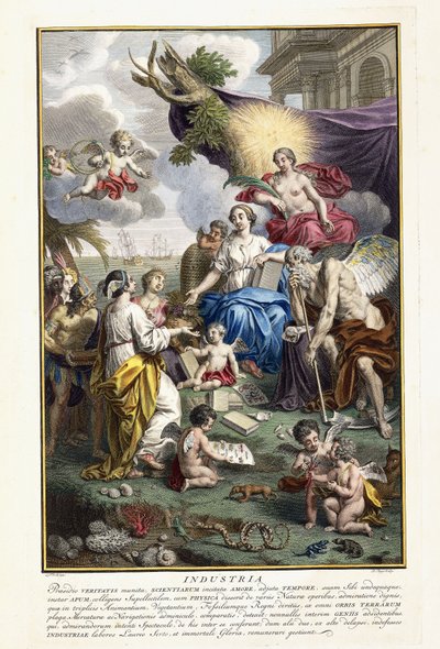 業界、「最も豊かな自然の宝物ノヴァの説明」からのタイトルページ、1734-1765 作： Louis Fabricius Dubourg