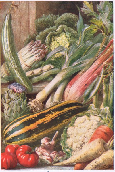 庭の野菜、「Garden Ways and Garden Days」のイラスト（カラーリソ） 作： Louis Fairfax Muckley