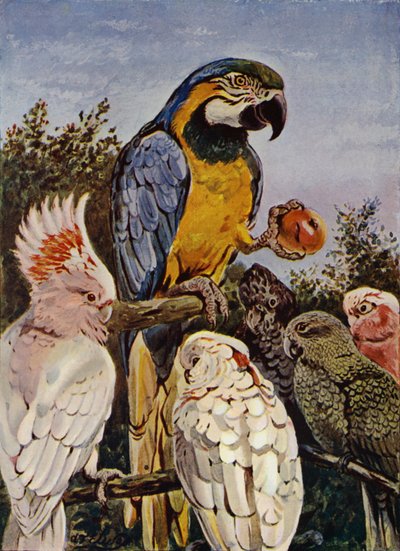 「私のりんごをかじったのは誰？」 (カラーリソ) 作： Louis Fairfax Muckley