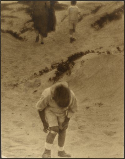  作： Louis Fleckenstein