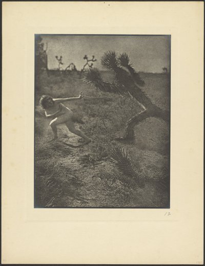 砂漠のボギーマン 作： Louis Fleckenstein