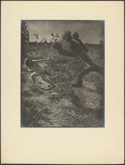  作： Louis Fleckenstein
