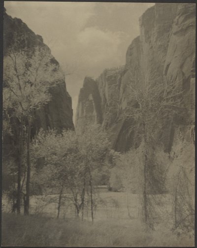 [キャニオンの風景］ 作： Louis Fleckenstein