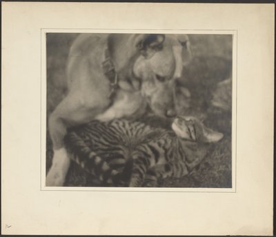  作： Louis Fleckenstein