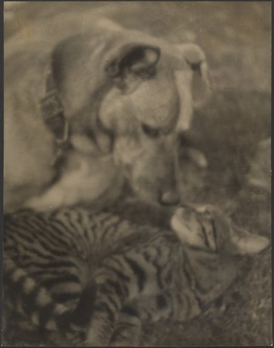  作： Louis Fleckenstein