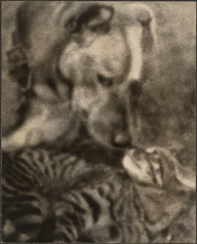  作： Louis Fleckenstein