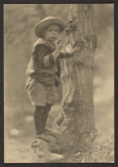  作： Louis Fleckenstein