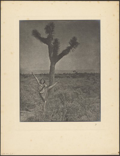  作： Louis Fleckenstein