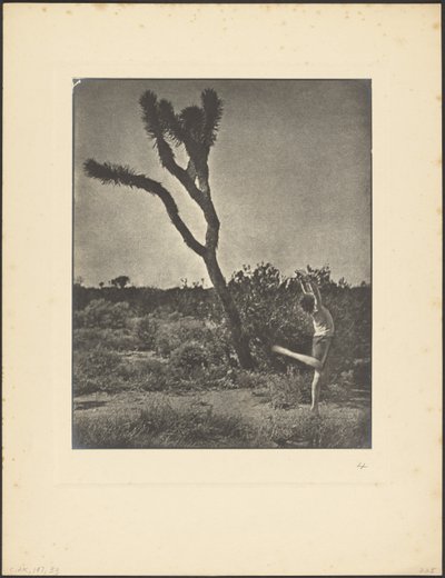  作： Louis Fleckenstein