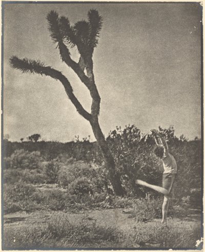  作： Louis Fleckenstein