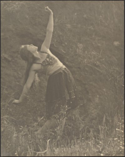  作： Louis Fleckenstein