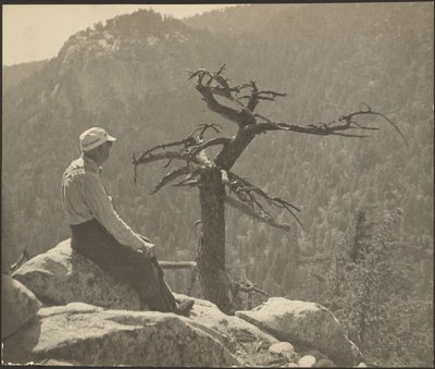  作： Louis Fleckenstein
