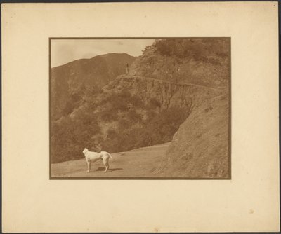 [山岳風景の中の犬と女性] 作： Louis Fleckenstein