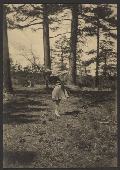  作： Louis Fleckenstein