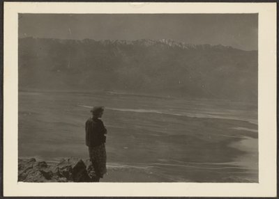 [海岸を見下ろす図］ 作： Louis Fleckenstein