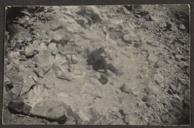 [岩の上のフィギュア] 作： Louis Fleckenstein
