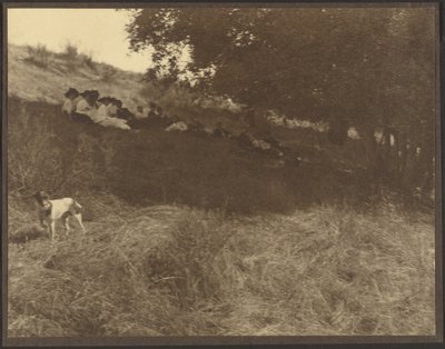  作： Louis Fleckenstein