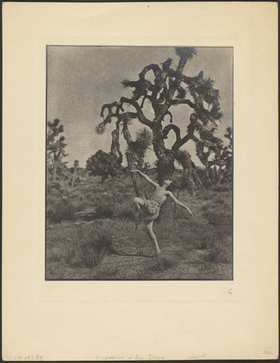  作： Louis Fleckenstein