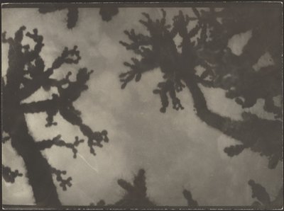  作： Louis Fleckenstein