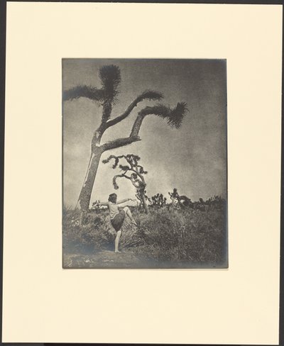  作： Louis Fleckenstein