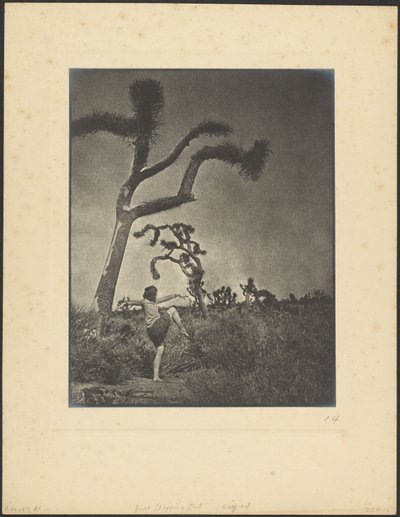  作： Louis Fleckenstein
