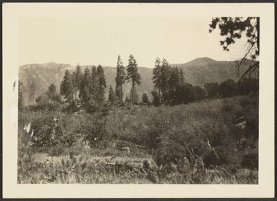 風景 作： Louis Fleckenstein