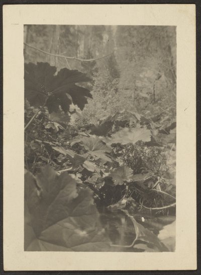 風景 作： Louis Fleckenstein