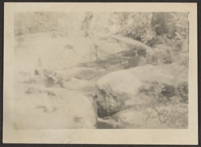 風景 作： Louis Fleckenstein