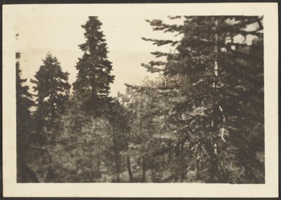 風景 作： Louis Fleckenstein