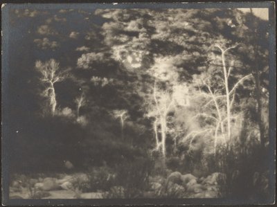 風景 作： Louis Fleckenstein