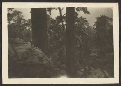 風景 作： Louis Fleckenstein