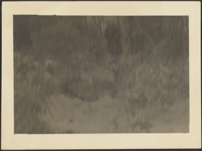 風景 作： Louis Fleckenstein