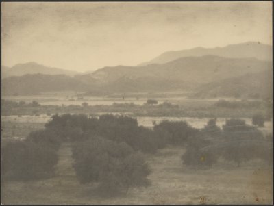 [低木のある風景］ 作： Louis Fleckenstein