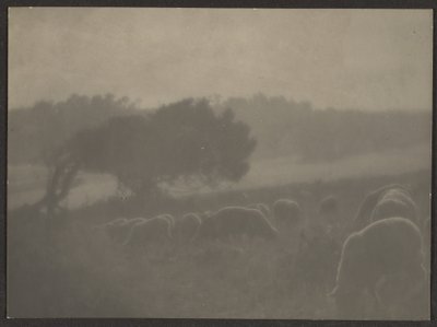 [羊のいる風景］ 作： Louis Fleckenstein