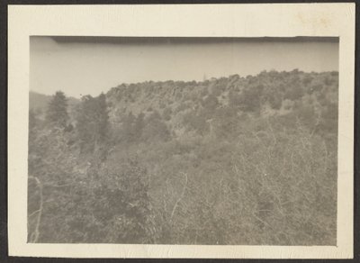 [低木のある風景］ 作： Louis Fleckenstein