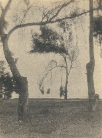 [樹木のある風景］ 作： Louis Fleckenstein