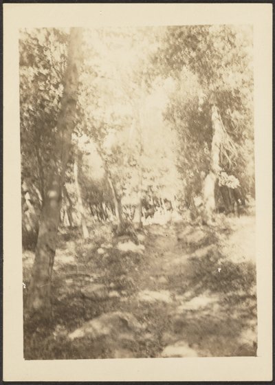 [野生の鹿のいる風景］ 作： Louis Fleckenstein