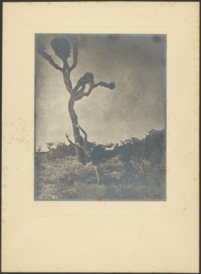  作： Louis Fleckenstein