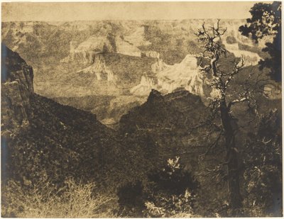 [裸木のある山の風景］ 作： Louis Fleckenstein