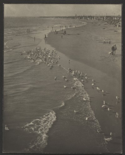 ニューポートビーチ 作： Louis Fleckenstein
