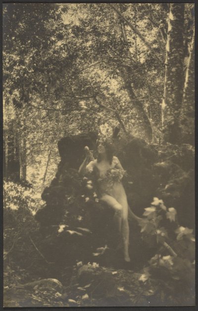  作： Louis Fleckenstein